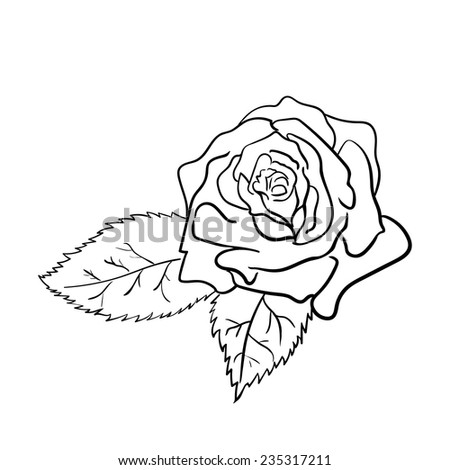 Rose Stock Illustration 107849597 - Shutterstock