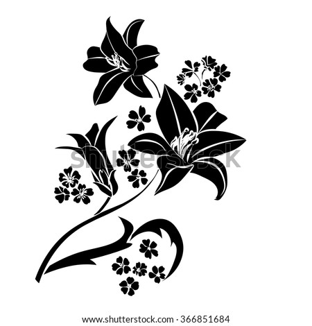 Silhouette Lily Black Outline On White Stock Vector 366851684 ...