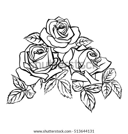 Rose Outline Stock Images, Royalty-Free Images & Vectors | Shutterstock