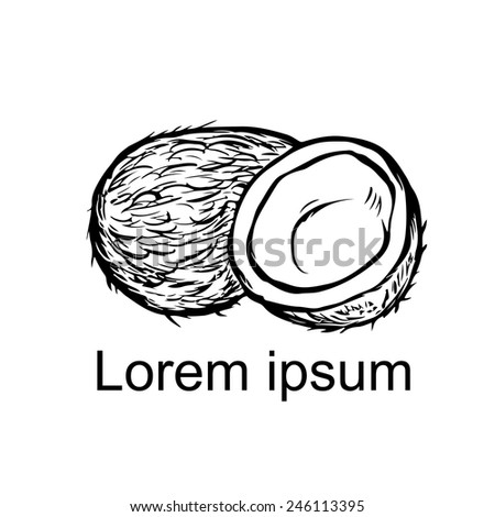 Coconut whole and half icon isolated on a white background, art logo design