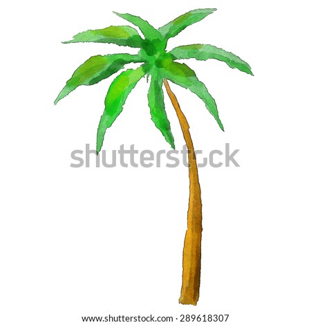 Watercolor Palm Tree Isolated On White Stock Vector 289618307