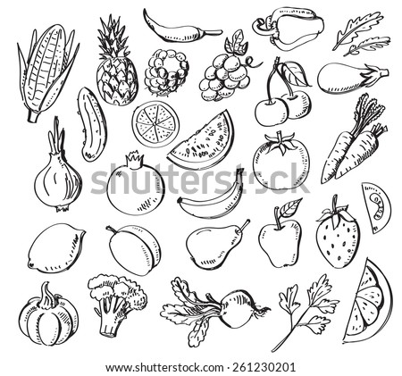 vector set of different hand drawn fruits and vegetables