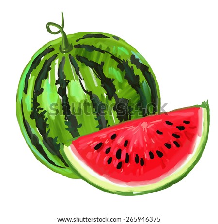 vector paint hand drawn picture of watermelon