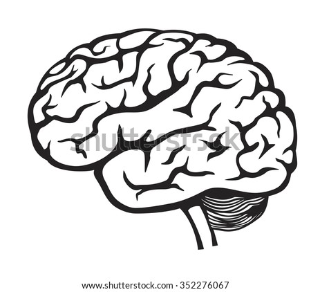 Vector Black Brain Icon On White Stock Vector 352276067 - Shutterstock