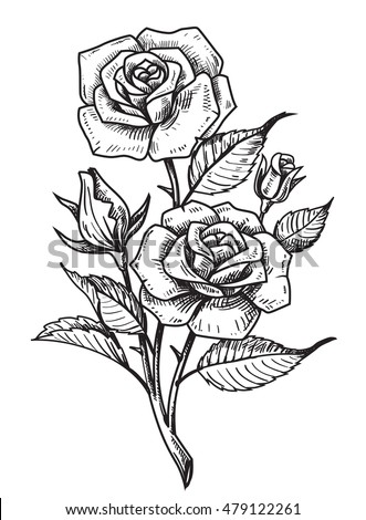 vector tattoo roses leaves on white stock vector 479122261 vector tattoo roses leaves on white stock vector 479122261