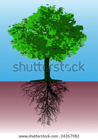 Tree Roots Vector Stock Vector 60384679 - Shutterstock