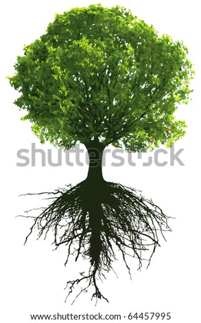 Trees Roots This Image Vector Illustration Stock Vector 64457995