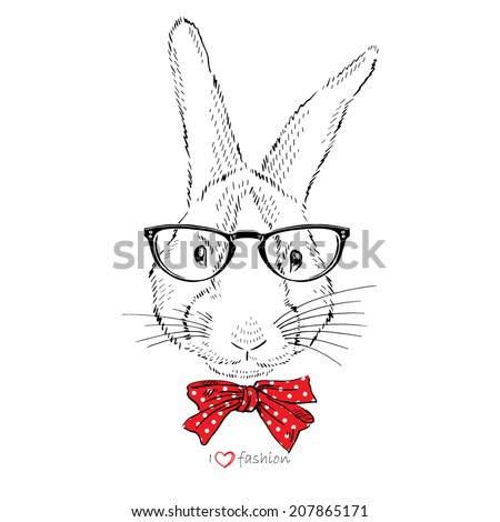 Rabbit Face Stock Photos, Images, & Pictures | Shutterstock