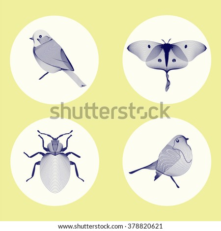 Download Ameu's Portfolio on Shutterstock