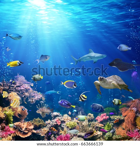 Scene Stock Images, Royalty-Free Images & Vectors | Shutterstock