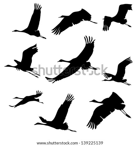 Crane-bird Stock Photos, Royalty-Free Images & Vectors - Shutterstock