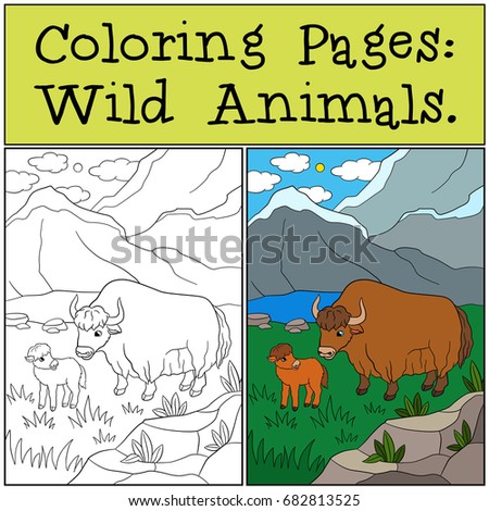 Yak Stock Images, Royalty-Free Images & Vectors | Shutterstock