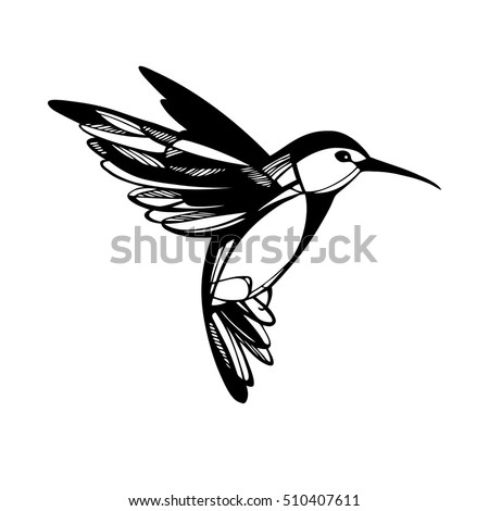 Hummingbirds Silhouette Isolated Vector Set Stock Vector 304749989 ...