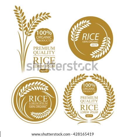Rice. Vector illustration.