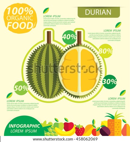 Durian. Infographic template. vector illustration.
