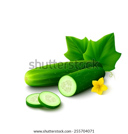 Cucumber with slices, flower and leaves isolated on white background. Vector illustration.