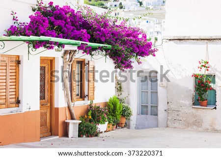 traditional greek house flowers paros island stock photo 336328574 traditional greek house flowers paros island stock photo 336328574