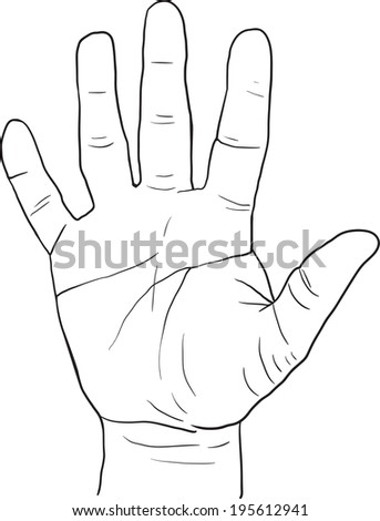 sketch drawing hand, palm, hand drawn vector illustration - stock vector