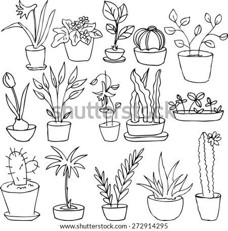 Beautiful Vector Collection Sketches Houseplants Hand Stock Vector
