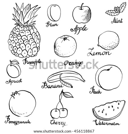 fruits and berries set ink drawing vector elements