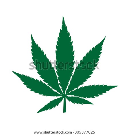 Vector Silhouette Hemp Leaf Stock Vector 165953723 - Shutterstock