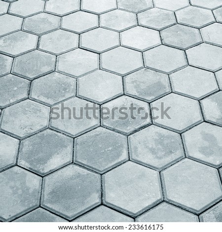 Hexagonal Paving Stones Stock Photos, Images, & Pictures | Shutterstock