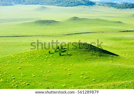 Grassland Stock Images, Royalty-Free Images & Vectors | Shutterstock
