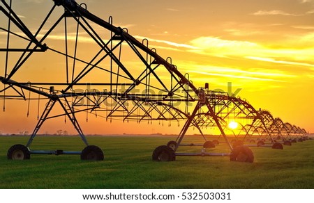 Irrigation pivot system on the wheat field at sunset