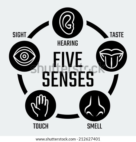 Five Senses Vector Icons Set Stock Vector (Royalty Free) 212627401 ...