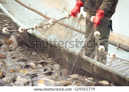 Fishermen at Work