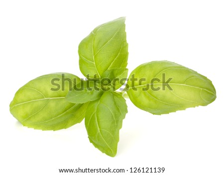 evaluation of the sweet basil evaluation of the sweet basil