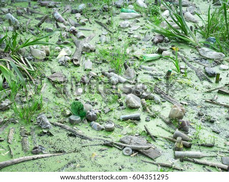 Environmental pollution.