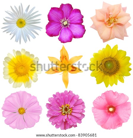 Stock Images similar to ID 235889875 - flower bouquet seasonal...