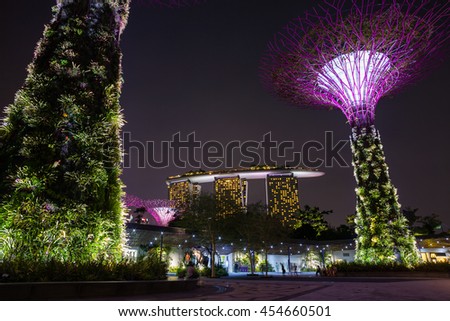 Garden By The Bay Fireworks bay east garden stock fotos, billeder til fri afbenyttelse og Garden By The Bay Fireworks bay east garden stock fotos, billeder til fri afbenyttelse og