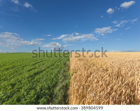 Farm Scenery Stock Images, Royalty-Free Images &amp; Vectors ...