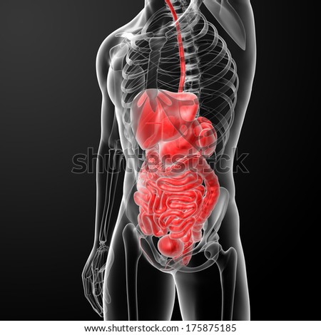 Internal Medicine Stock Photos, Images, & Pictures | Shutterstock