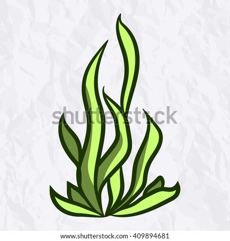 Vector Seaweed Stock Vector 586467290 - Shutterstock