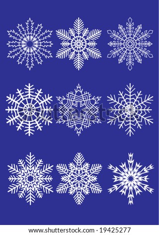 Beautiful Snowflakes Set Christmas Winter Design Stock Vector 115619107 ...