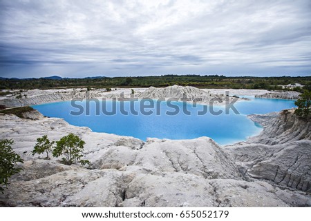 Exoticas Banco de imagens, imagens e vetores livres de direitos  Shutterstock