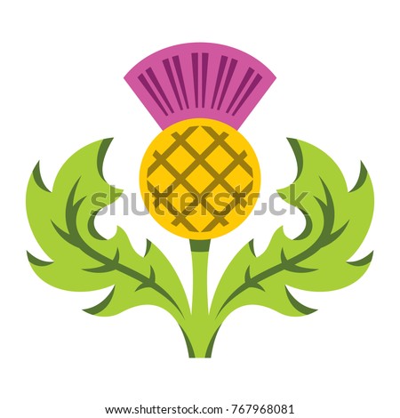 Scottish Thistle Stock Images, Royalty-Free Images & Vectors | Shutterstock