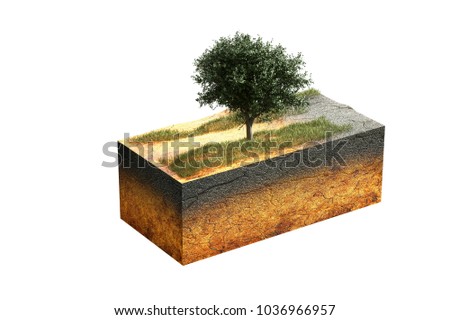 3d Rendering Illustration Of Cross Section Cube The Earth And Tree In Field 3d Rendering Illustration Of Cross Section Cube The Earth And Tree In Field