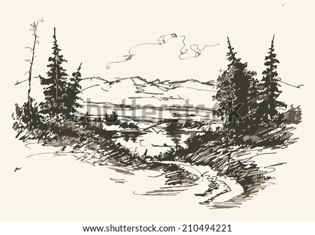 Forest Sketch Stock Photos, Images, & Pictures | Shutterstock