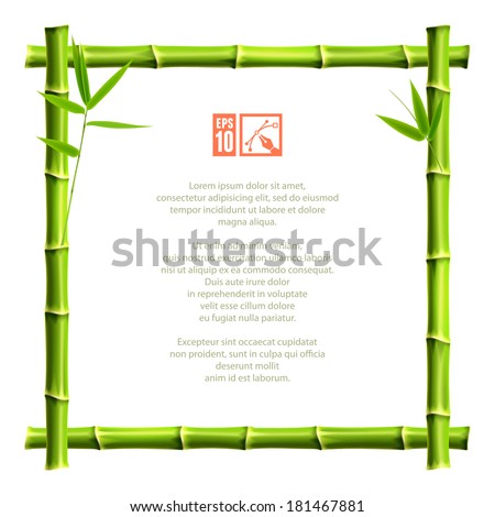 Bamboo frame. Vector illustration, eps10.