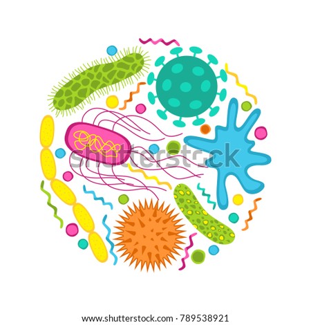 Cocci Bacteria Stock Images, Royalty-Free Images & Vectors | Shutterstock