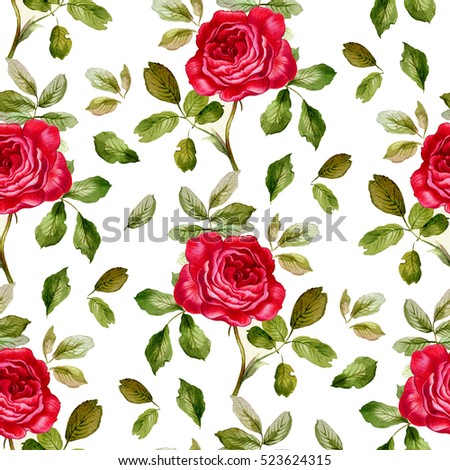 Botanical Illustration Red Roses Leaves Set Stock Illustration ...