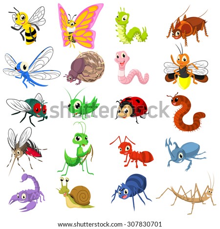 Insects Stock Photos, Royalty-Free Images & Vectors - Shutterstock