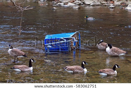 environmental pollution duck grocery cart