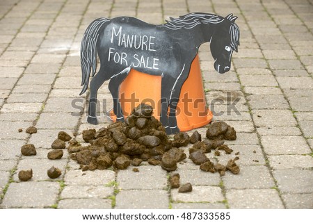 Image result for Images of a stable full of manure