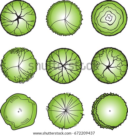 Vector Set Green Trees Top View Stock Vector (Royalty Free) 672209437 ...