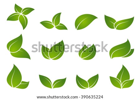 Green Leaf Icon Set เวกเตอร์สต็อก 390635224 - Shutterstock